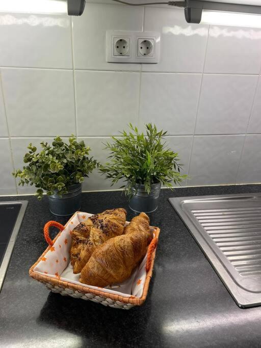 Puskas Apartman Costa De Antigua Εξωτερικό φωτογραφία